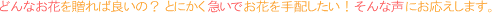 ����βֲ��ե�����åפߤ��